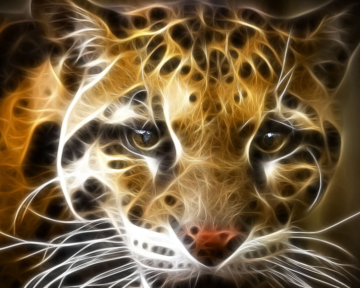 illustrazione di leopardo, astrazione, tigre, viso, arancia, bianco, Sfondo HD