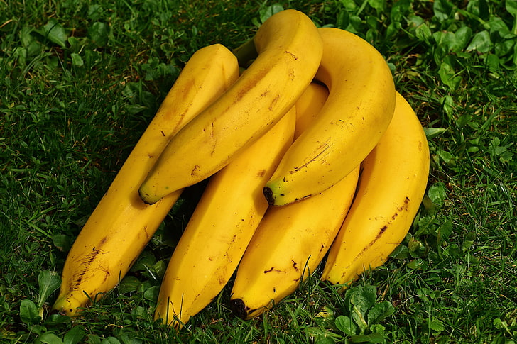 yellow bananas, bananas, fruit, ripe, grass, HD wallpaper