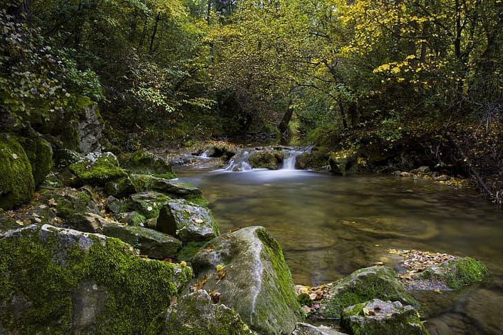 ฤดูใบไม้ร่วง ป่า ต้นไม้ แม่น้ำ หิน ฝรั่งเศส สนามหญ้า Caramy Gorge Tourves, วอลล์เปเปอร์ HD