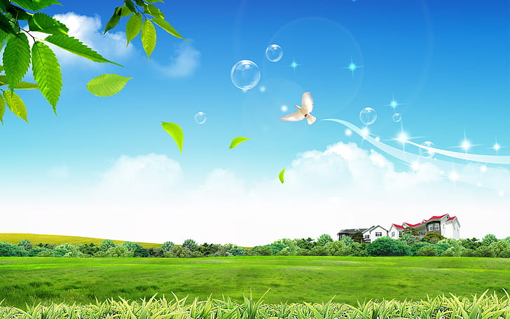 Vie paisible, oiseau blanc volant au-dessus de l'illustration du champ d'herbe verte, paisible, vie, Fond d'écran HD