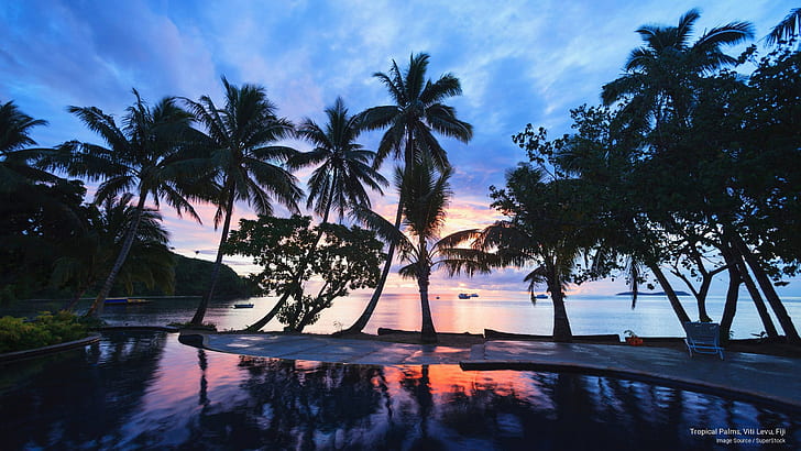 Tropical Palms, Viti Levu, Fidżi, wyspy, Tapety HD