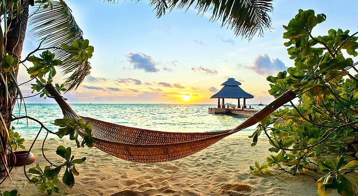 TROPICAL PARADISE, brown hammock, Nature, Beach, HD wallpaper