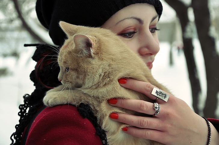 pomarańczowy kot, dziewczynka, kot, przytulenie, pierścionek, Tapety HD