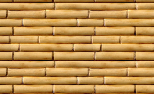 Bambu çubukları, kahverengi bambu direkleri, Vintage, bambu, sopa, HD masaüstü duvar kağıdı HD wallpaper
