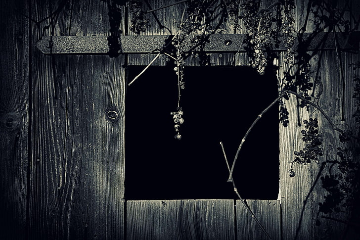 abandoned, barn, black and white, board, dark, dirty, grapes, iron, margin, old, panel, retro, rust, rustic, rusty, texture, vintage, wall, window, wood, wooden, HD wallpaper