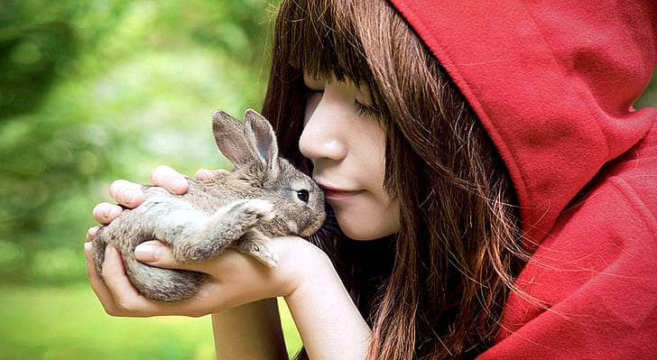 Червена шапчица, сиво бебе заек, зайче, заек, момиче, фантазия, качулка, сладко, животно, 3d и абстрактно, HD тапет