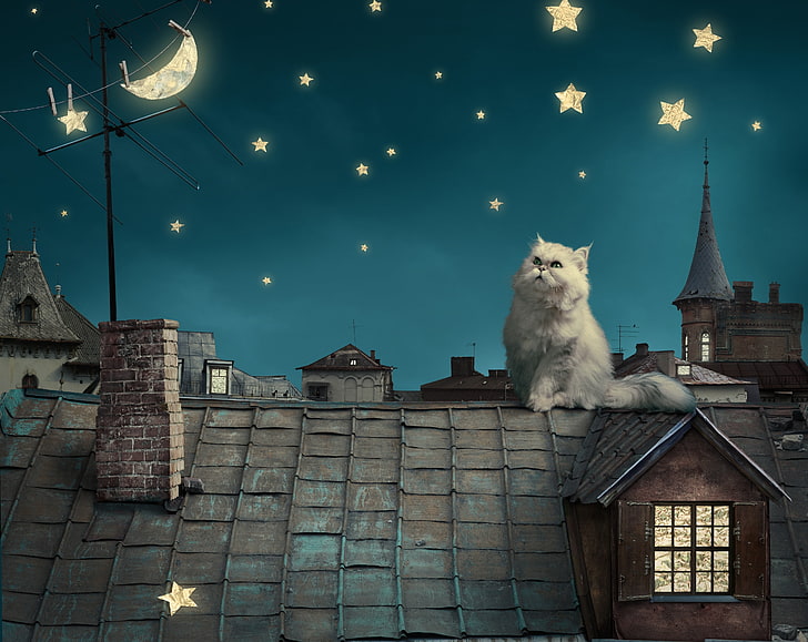 white cat and house illustration wallpaper, animals, cat, stars, Moon, crescent moon, house, rooftops, digital art, persian cat, HD wallpaper