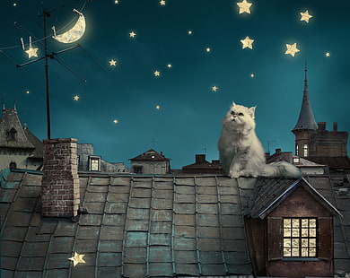 papel tapiz de ilustración de gato blanco y casa, animales, gato, estrellas, Luna, luna creciente, casa, tejados, arte digital, gato persa, Fondo de pantalla HD HD wallpaper