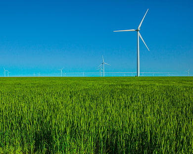Windmills Energy, Nature, Landscape, Grass, Farm, Windmill, Wind, bluesky, windfarm, HD wallpaper HD wallpaper