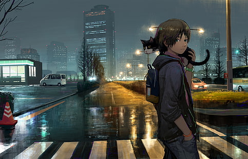 menino anime, gato, rua, edifícios, noite, fatia da vida, anime, HD papel de parede HD wallpaper