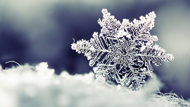 crystal snowflake, snowflake, snow, shape, pattern, HD wallpaper