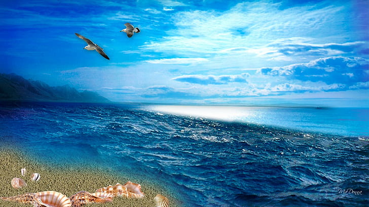 До морето До морето, остров, морски чайки, плаж, птици, морски черупки, океан, облаци, 3d и абстрактно, HD тапет