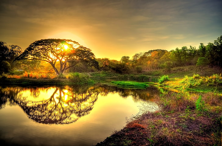 lac, coucher de soleil, étang, arbres, paysage, Fond d'écran HD