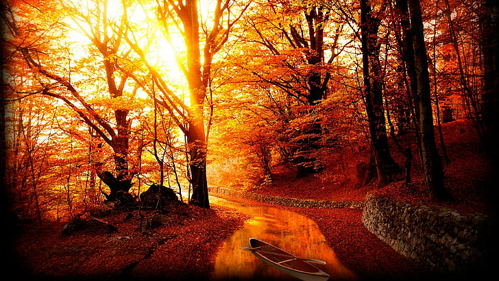 natura, foresta, bosco, autunno, barca, latifoglie, albero, luce solare, ramo, fiume, foglie, colori, Sfondo HD