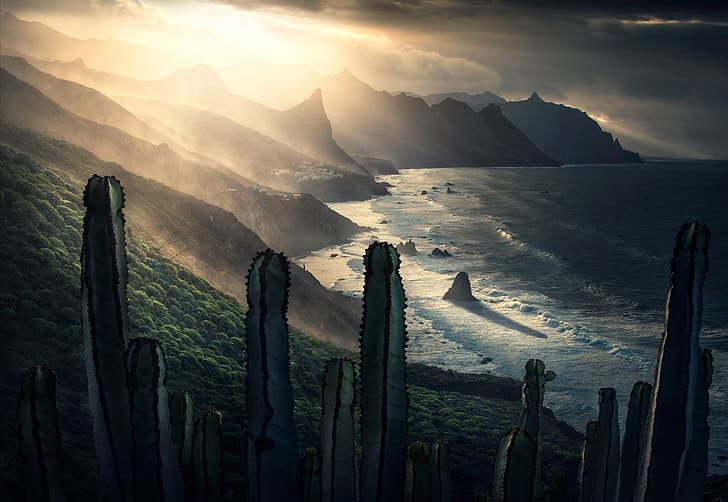 light, mountains, the ocean, rocks, cacti, HD wallpaper