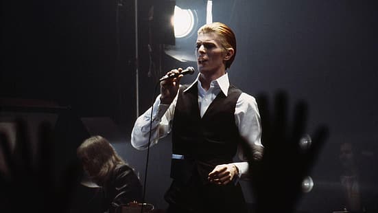 David Bowie, concerts, Fond d'écran HD HD wallpaper