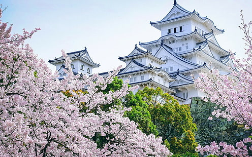 slott, landskap, asiatisk arkitektur, körsbärsblomning, Himeji-slottet, HD tapet HD wallpaper
