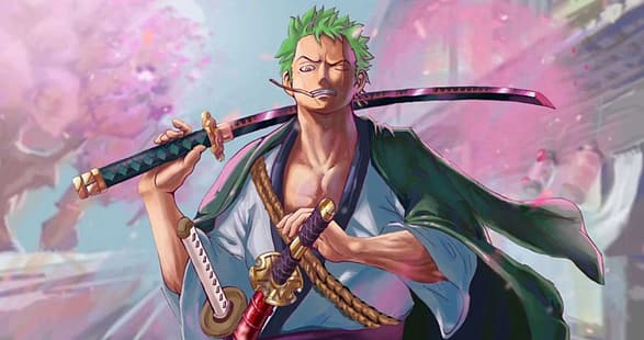 Ророноа Зоро, One Piece, HD обои HD wallpaper