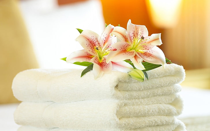 White Towel And Lily Flower, two white bath towels, Nature, Flowers, flower, towel, lily, HD wallpaper