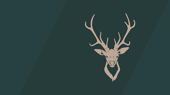 иллюстрация северного оленя, минимализм, бак, рога, простой фон, HD обои HD wallpaper