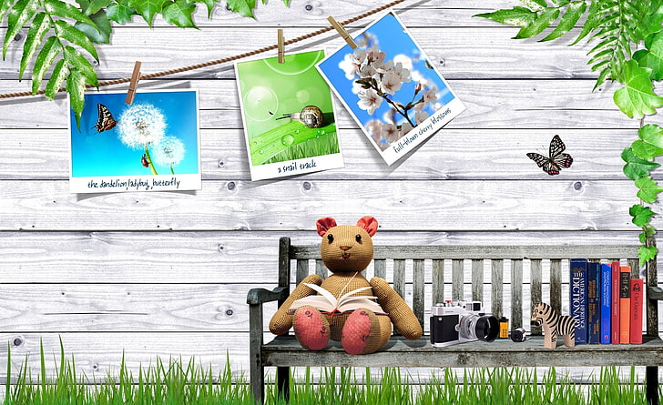 Teddy, Aero, Creative, Camera, Bench, Teddy, Reading, Pictures, books, HD tapet