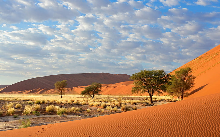 Sossusvlei Namib Park Narodowy Naukluft Namibia 1800 × 2880, Tapety HD