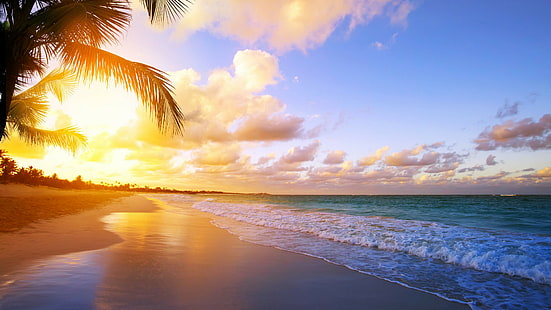 niebo, morze, plaża, horyzont, ocean, Brzeg, wschód słońca, tropiki, słońce, fala, palma, poranek, światło słoneczne, dzień, tropikalny, Tapety HD HD wallpaper