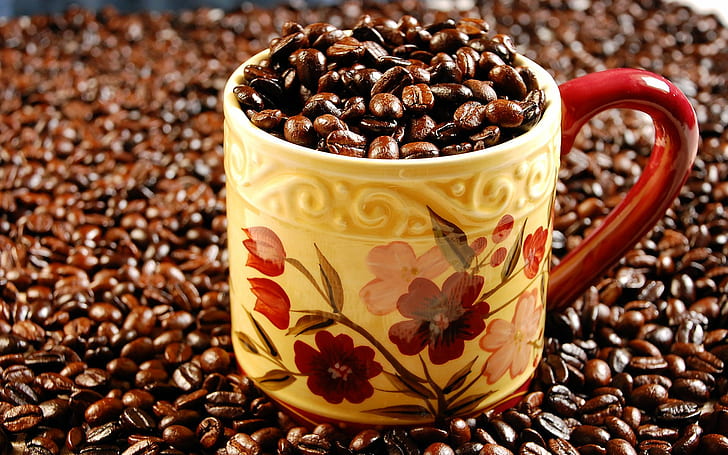 coffee, cup, drink, lovely, nature, plant, seed, HD wallpaper