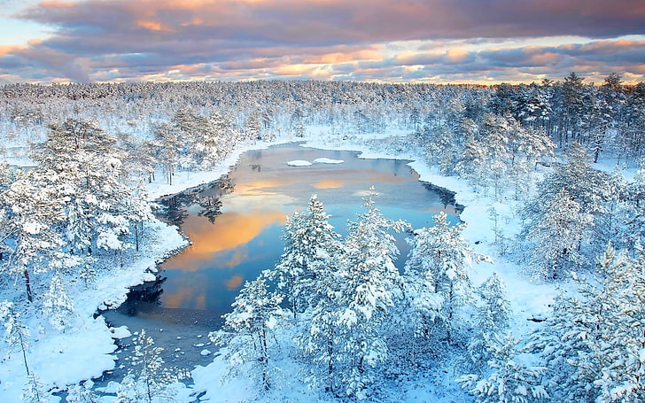 雪をかぶった木々と湖、冬、森、湖、雪、木、反射、自然、夕日、雲、寒さ、風景、水、氷、 HDデスクトップの壁紙
