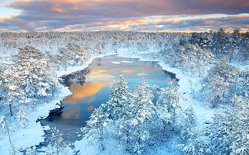 pohon dan danau yang tertutup salju, musim dingin, hutan, danau, salju, pohon, refleksi, alam, matahari terbenam, awan, dingin, pemandangan, air, es, Wallpaper HD HD wallpaper