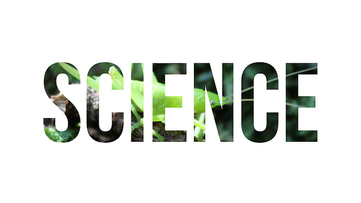 zielony tekst Science na białym tle, nauka, natura, owad, typografia, Tapety HD