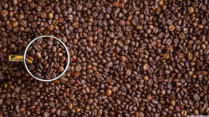 bunch of coffee beans, coffee, macro, cup, closeup, blurred, HD wallpaper