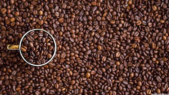 bunch of coffee beans, coffee, macro, cup, closeup, blurred, HD wallpaper HD wallpaper