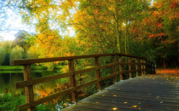 HDR scenery, park, leaves, trees, forest, autumn, wood bridge, HDR, Scenery, Park, Leaves, Trees, Forest, Autumn, Wood, Bridge, HD wallpaper