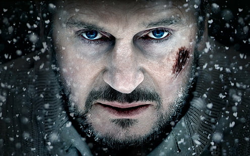 Película, The Grey, Liam Neeson, Fondo de pantalla HD HD wallpaper