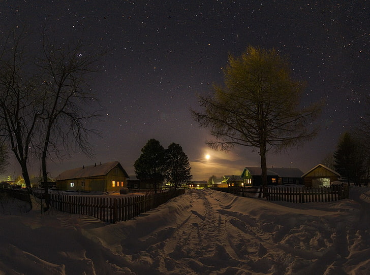grünblättriger Baum und Haus, Natur, Landschaft, Winter, Schnee, Russland, Mond, Sterne, Haus, Dorf, Bäume, Nacht, HD-Hintergrundbild