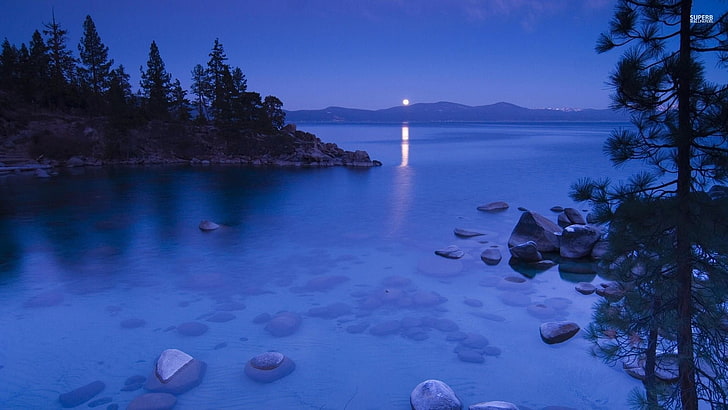 맑은 달빛 호수 자연 벽지, 푸른 나무, HD 배경 화면