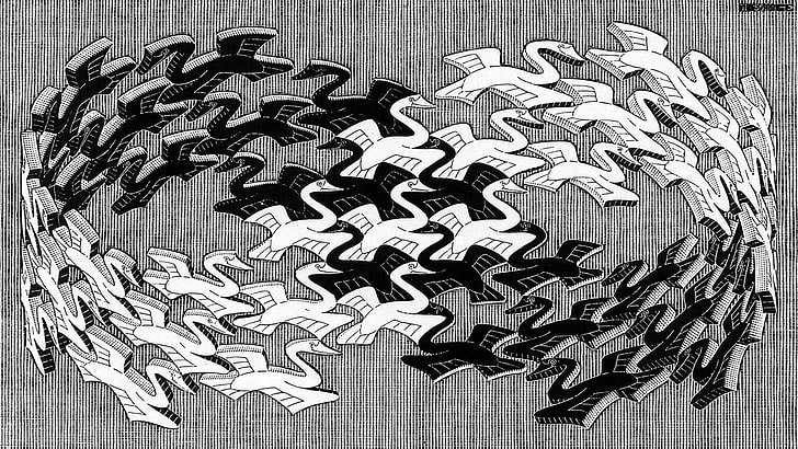 белая и черная гравюра бесконечность декор, работа, М. С. Эшер, монохромный, психоделический, животные, птицы, полет, 3D, полоса Мёбиуса, оптическая иллюзия, HD обои