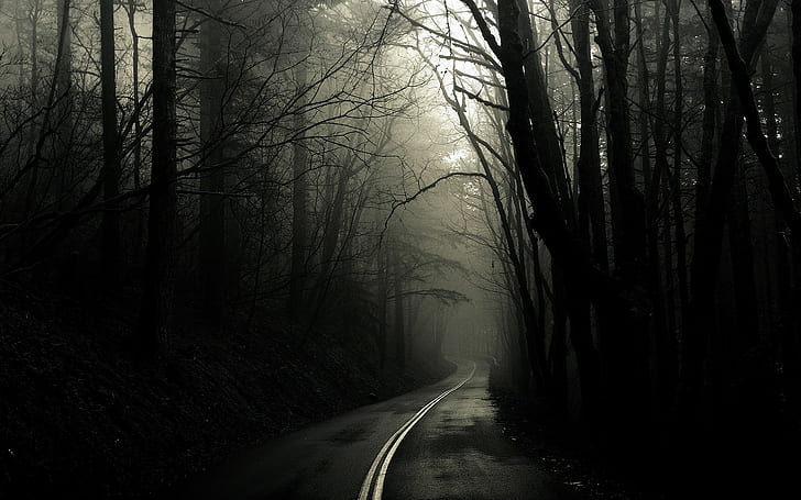 гора, мъгла, пейзаж, тъмно, път, HD тапет