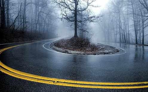 contraste, árvores, volta, curvas fechadas, estrada, névoa, molhado, 16:10, HD papel de parede HD wallpaper