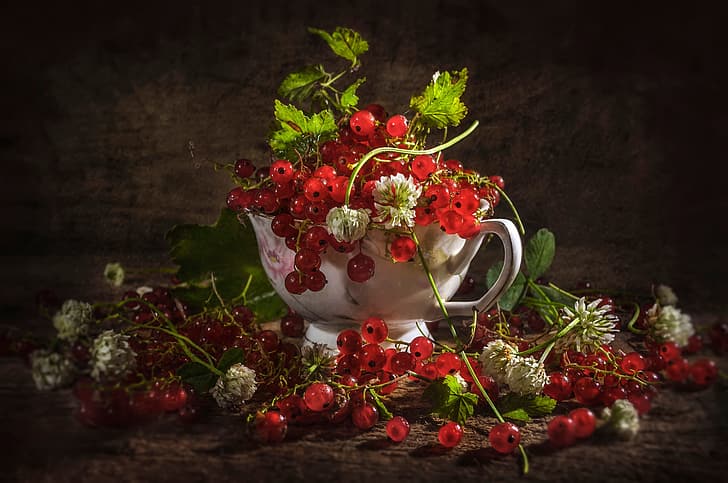 berries, Cup, clover, bunches, red currant, Vladimir Volodin, HD wallpaper