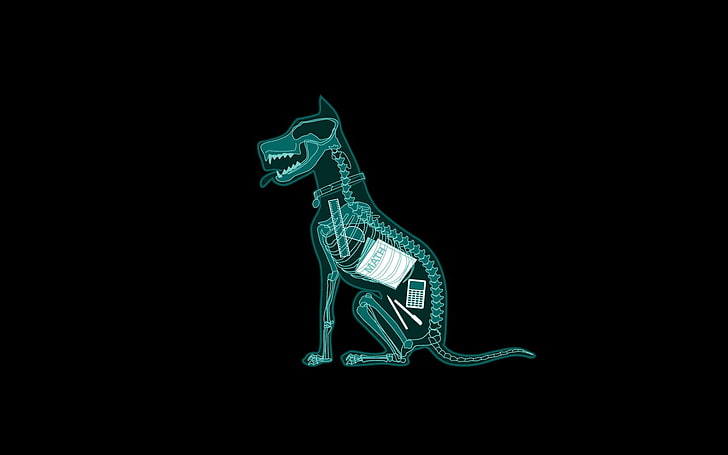 скелет иллюстрации зеленого животного, юмор, собака, минимализм, простой фон, HD обои