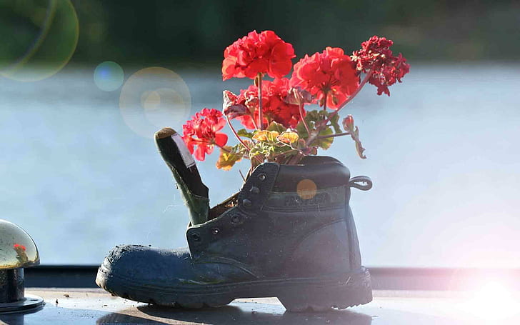 Flowers & An Old Boot, military, seasons, vases, shoes, flowers, gardens, boots, still life, nature and landscapes, HD wallpaper