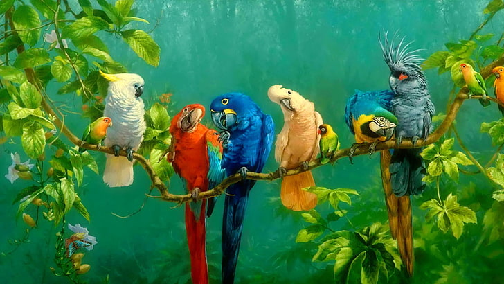 berwarna-warni, macaw, parrot, burung, fauna, ekosistem, paruh, parkit hewan peliharaan umum, organisme, parkit, perico, margasatwa, kakatua, lukisan, lukisan cat minyak, burung beo, Wallpaper HD
