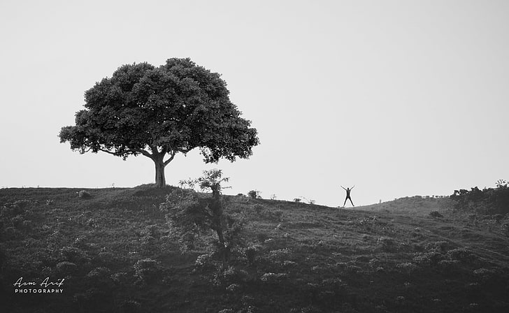 Arriba en la colina, fotografía en escala de grises de una persona cerca de un árbol, Blanco y negro, Colina, Árbol, Humano, Silueta, Salto, Fondo de pantalla HD