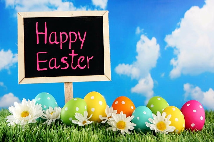 Holiday, Easter, Colorful, Easter Egg, Flower, Grass, Happy Easter, Sign, Spring, HD wallpaper