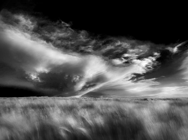 Earth, Cloud, Black & White, Field, Landscape, Nature, HD wallpaper