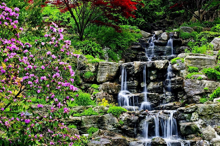 Водопади, водопад, цвете, градина, природа, скала, растителност, вода, HD тапет