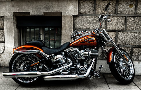 кафяв крайцер мотоциклет, мотоциклет, мотор, страничен изглед, колело, HD тапет HD wallpaper