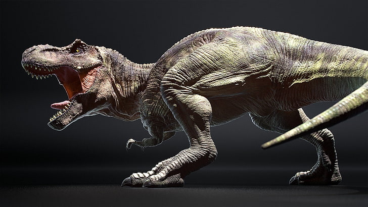 حيوان ، ديناصور ، تيرانوسورس ريكس، خلفية HD